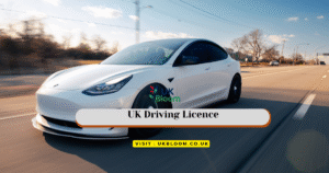 UK Driving Licence