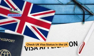 Check UK Visa Status in the UK